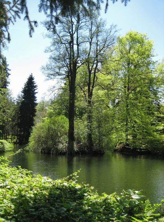 Augustenhof Bad Elster Exteriör bild